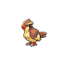 pidgey sprite