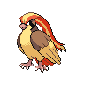 pidgeot sprite