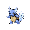 wartortle sprite